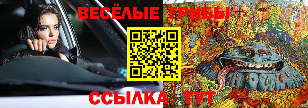 Галлюциногенные грибы прущие грибы Гусь-Хрустальный
