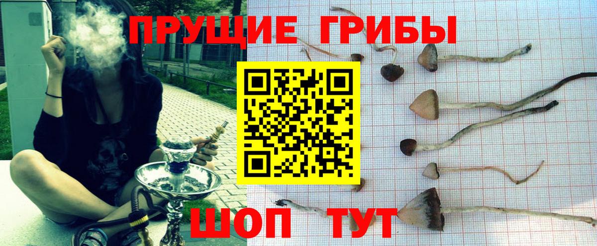 Гусь-Хрустальный  Псилоцибиновые грибы GOLDEN TEACHER  Вход с VPN 